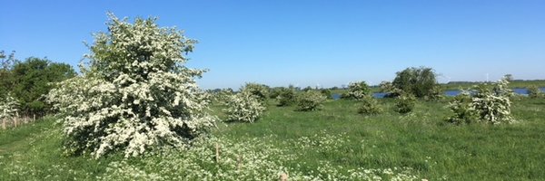 tijmmm Profile Banner