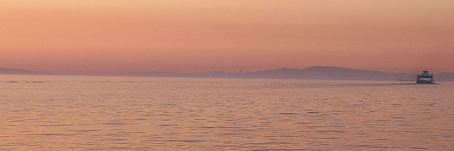 devrimyz's profile banner image