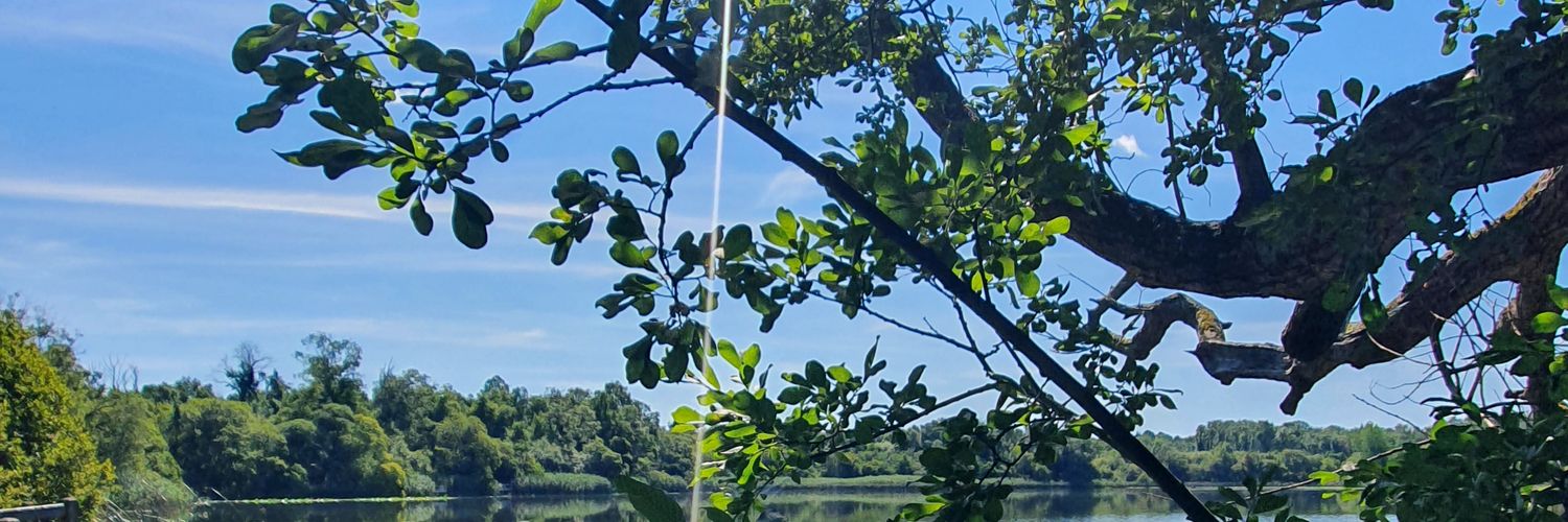 Sworthies's profile banner image