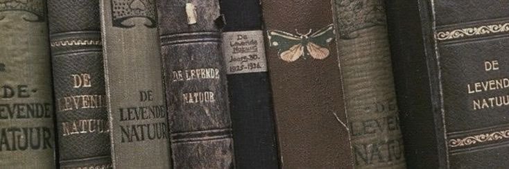 nayreads's profile banner image