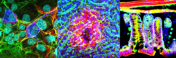 IshitaniLab Profile Banner