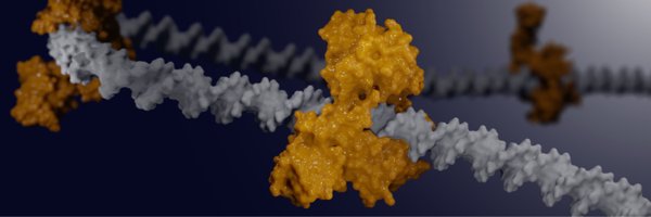 pentabind Profile Banner