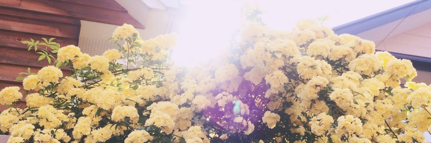 monoop's profile banner image