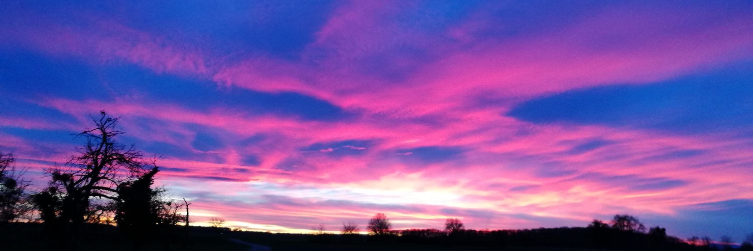 🗣️ tiger 🐅 is not a kitten🐈 banner