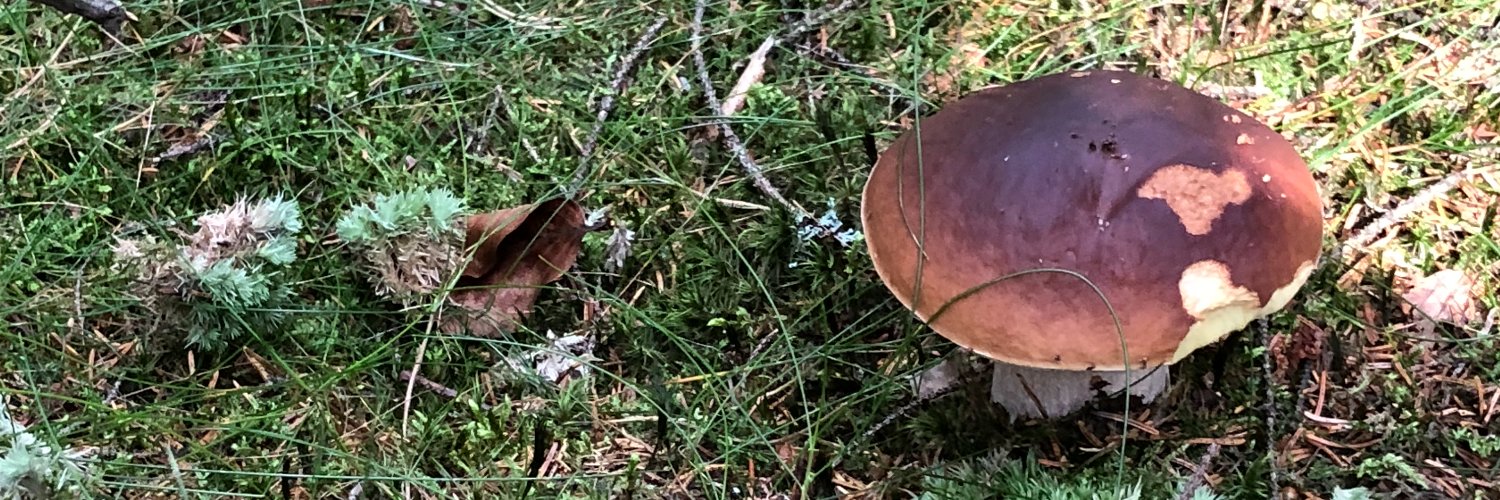 MiroslavKunt's profile banner image