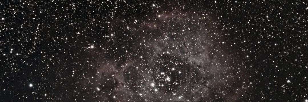 💫 bulimico gordola e feio banner
