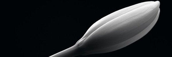 simjaeseong913 Profile Banner