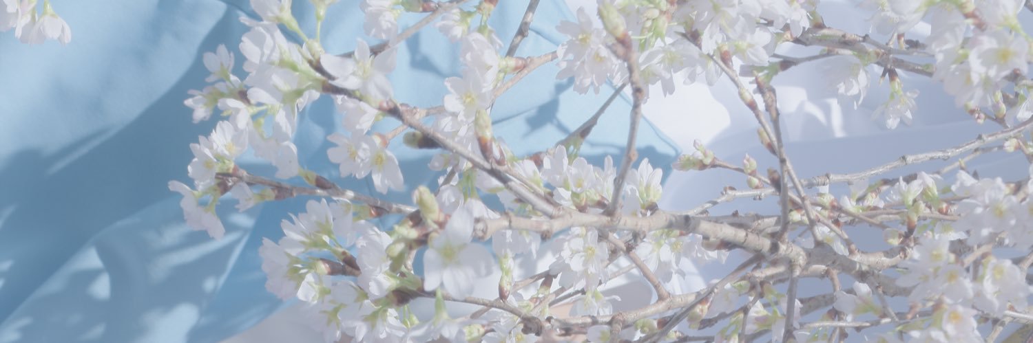 𝙨𝙠🪡🧵 banner