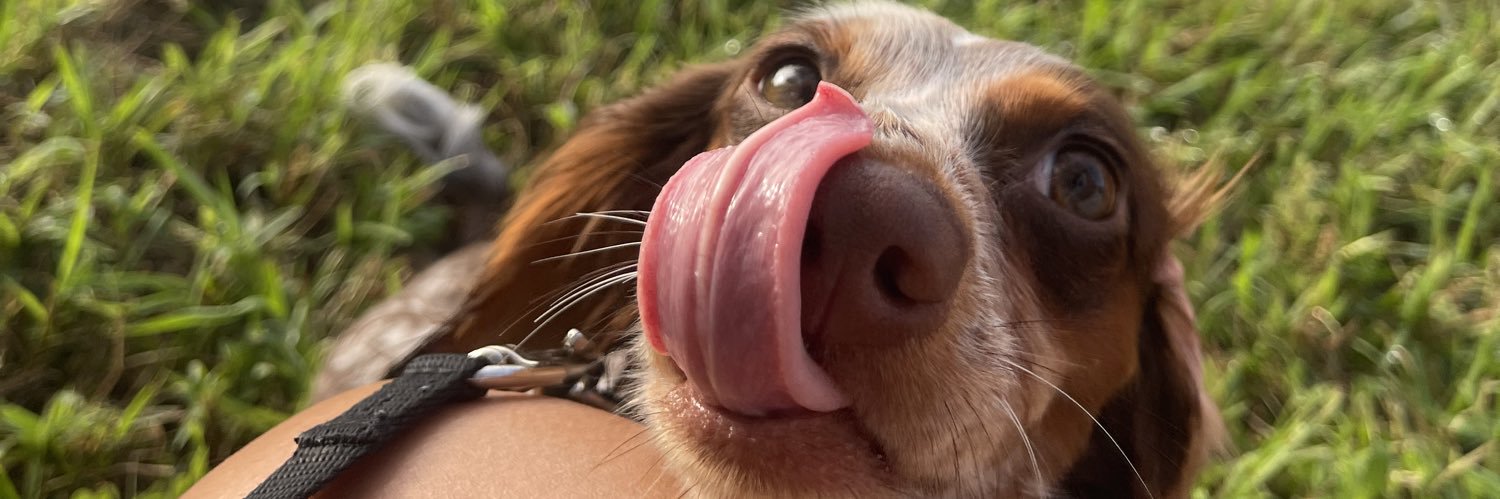 TIANIMALAVE's profile banner image