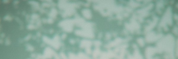 frankiearcherm Profile Banner