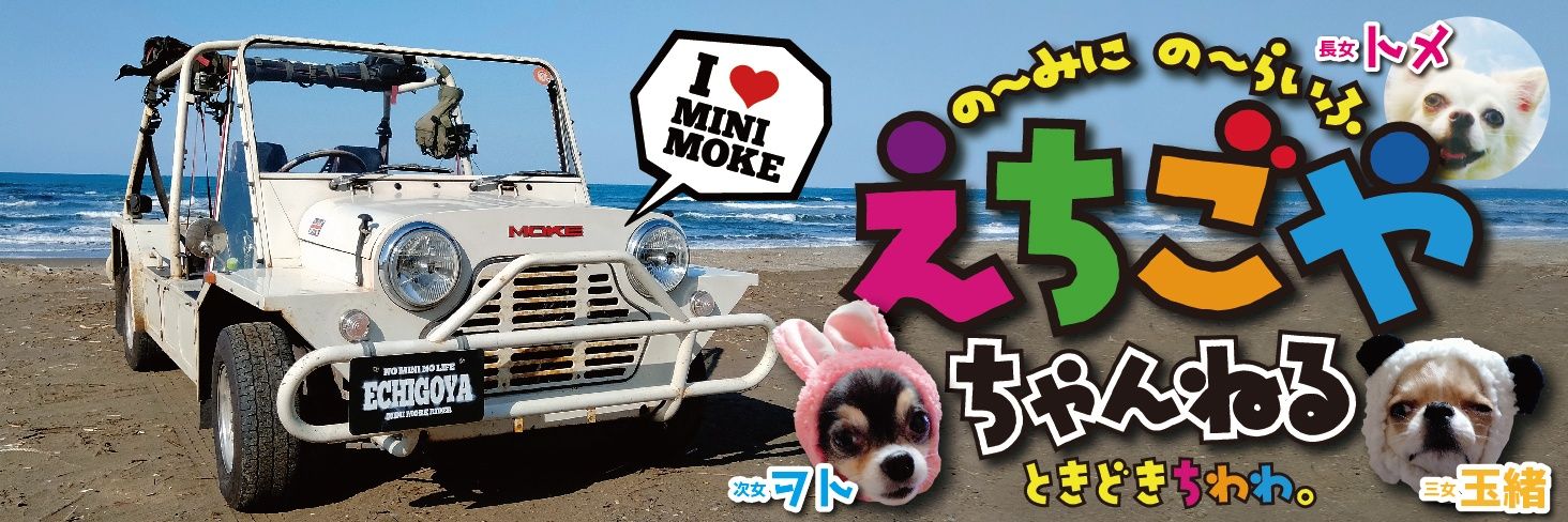 えちごやとちわわ's banner