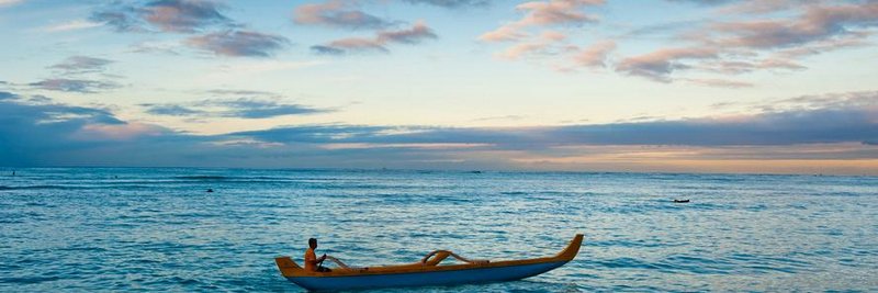 DominicCoverdale banner