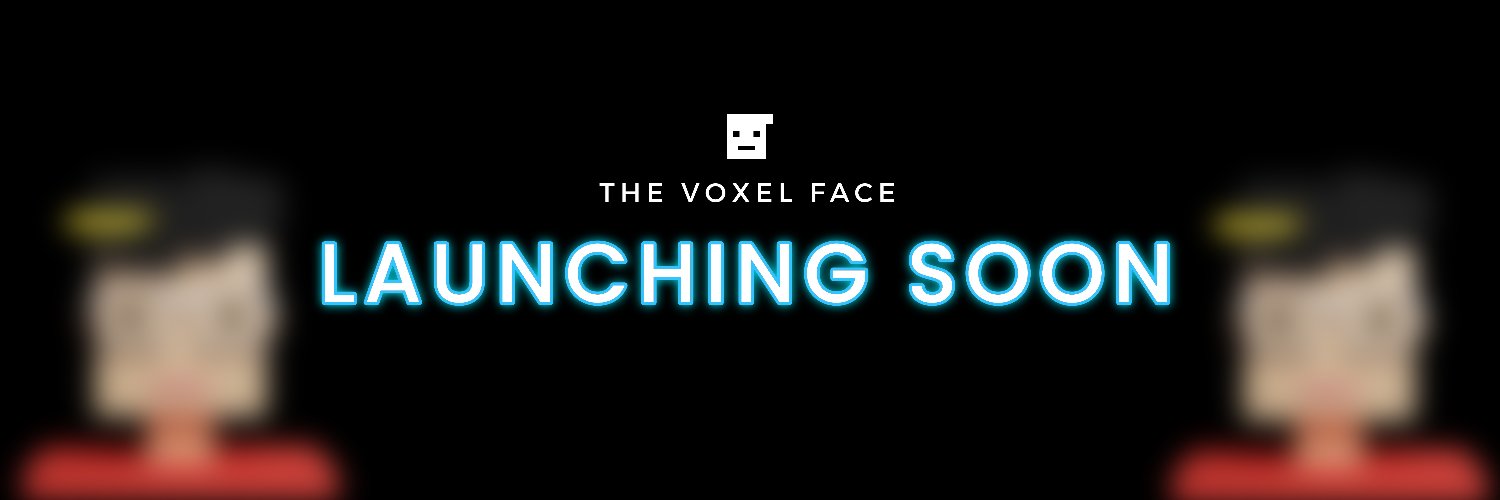 The Voxel Face banner
