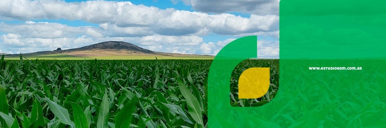 EDM - Estudio Agronómico banner