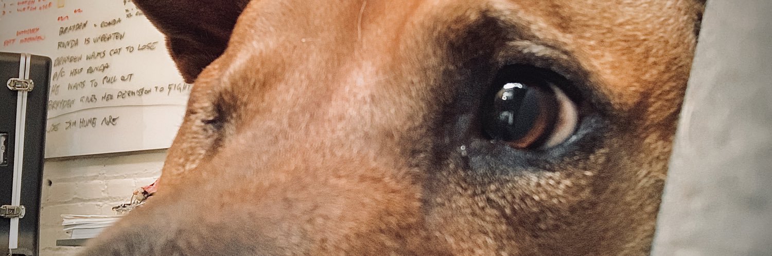 Martin Desmond Roe banner