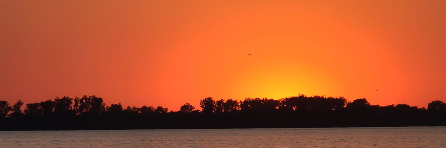 nate thatcher banner