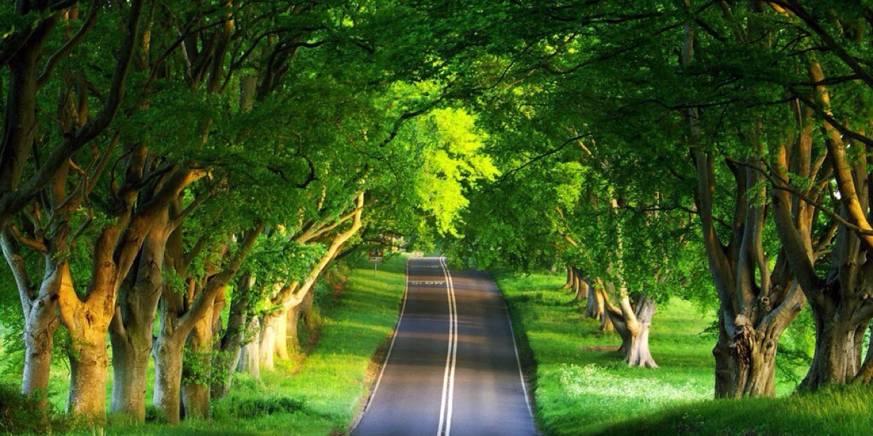 Andrea Gately banner