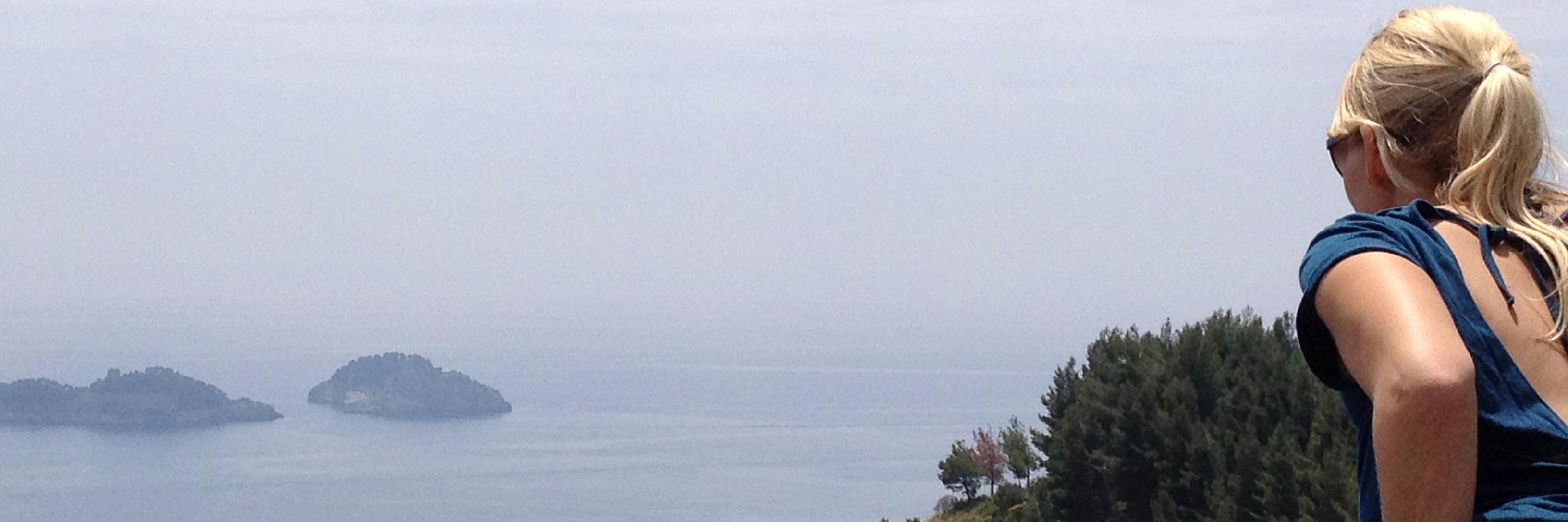 Gudrun Herrmann banner