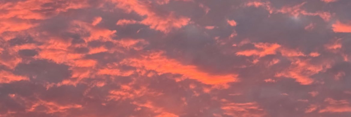 ththththth____'s profile banner image