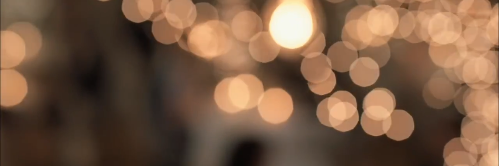 danapample's profile banner image