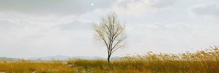 bngwl_'s profile banner image