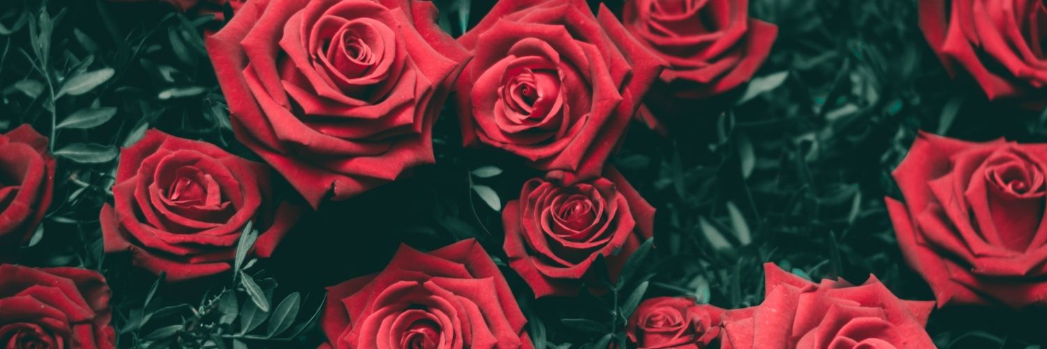 jrinnah's profile banner image