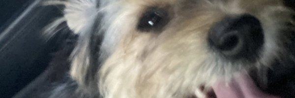 Xhaled_ Profile Banner