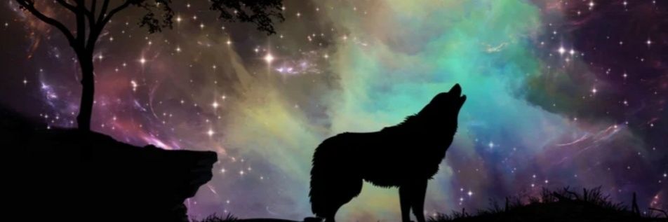 MrDnft's profile banner image