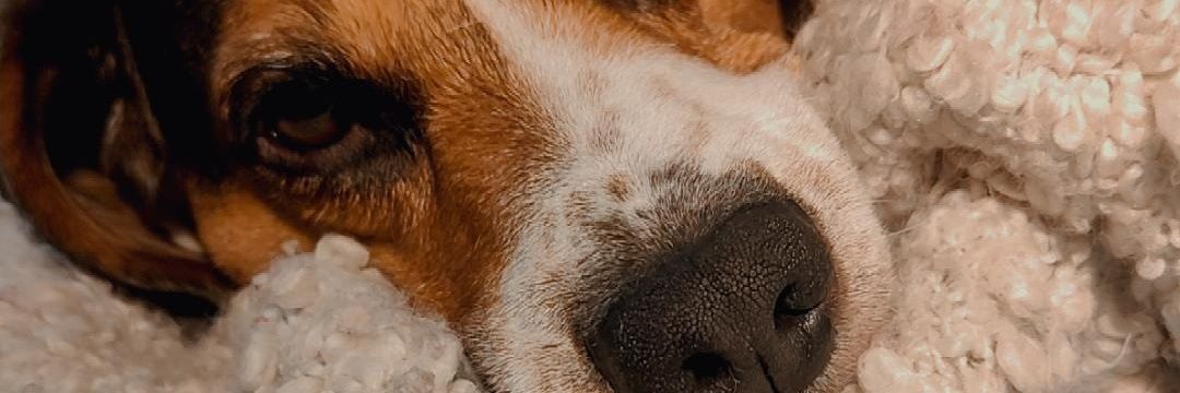 Nuriaolea_'s profile banner image