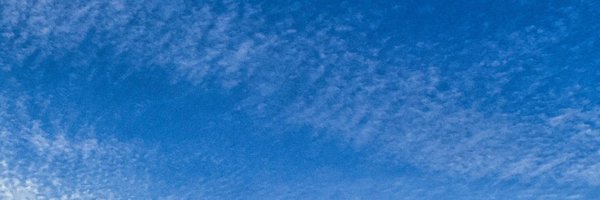 Purplewithtae_ Profile Banner