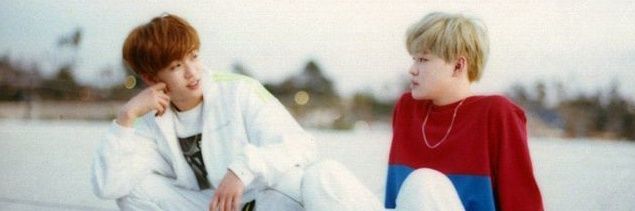 🐱 banner