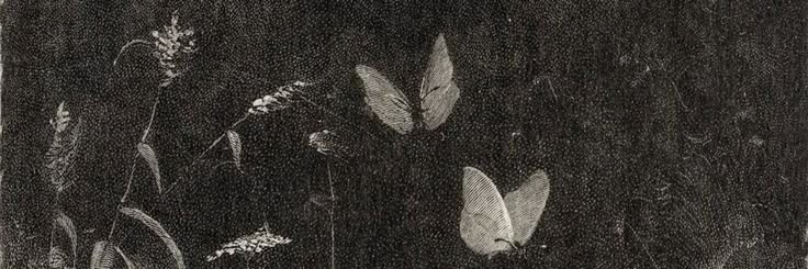 ▪️'s banner
