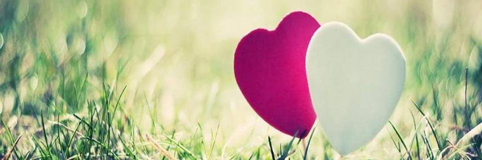 sweetu01's profile banner image