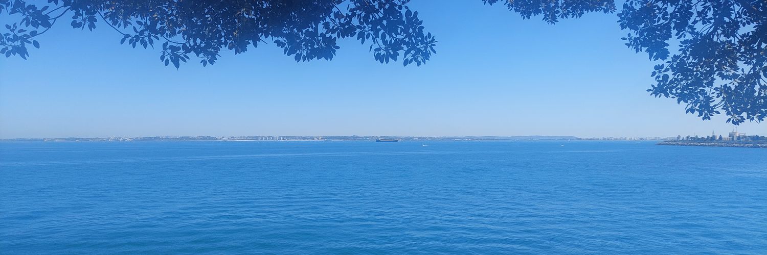 PatriLiVG's profile banner image
