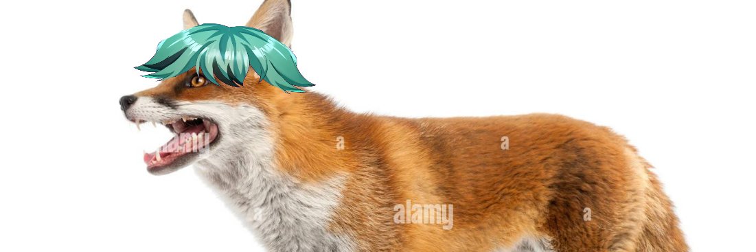 Ruka_mint | just a mint fox Vtuber 🦊💙 banner