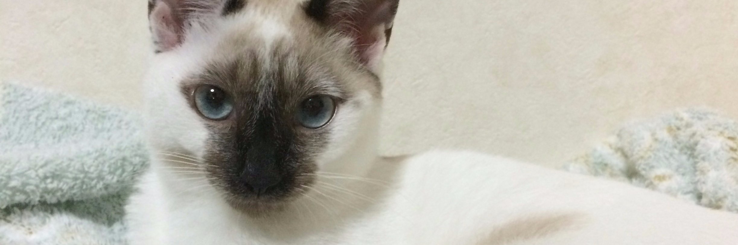 MKTOAR's profile banner image