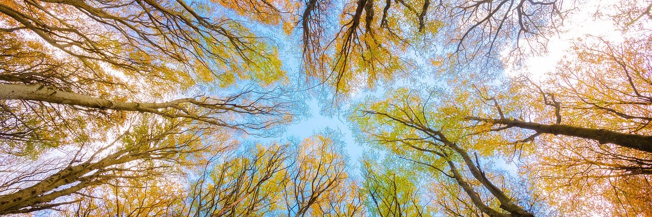 Writing for the Earth banner