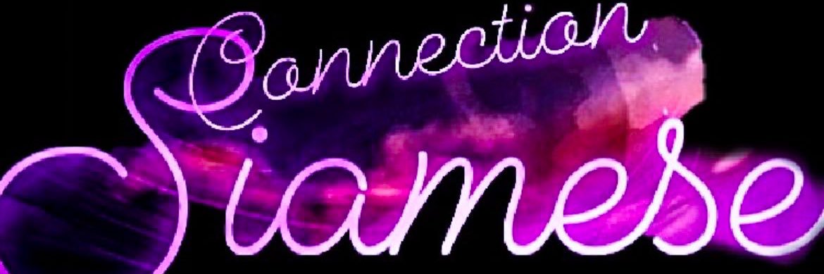 SiameseConnects's profile banner image