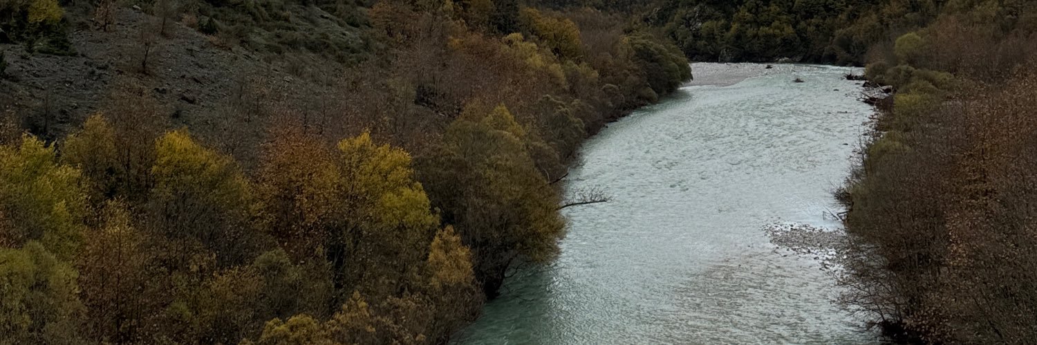 sarkovoro arni banner