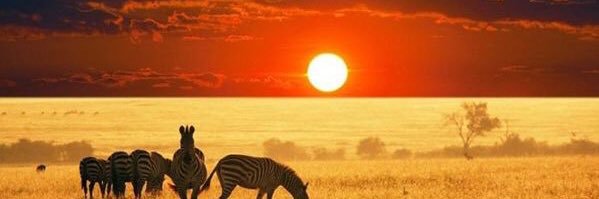 GutisTribe's profile banner image