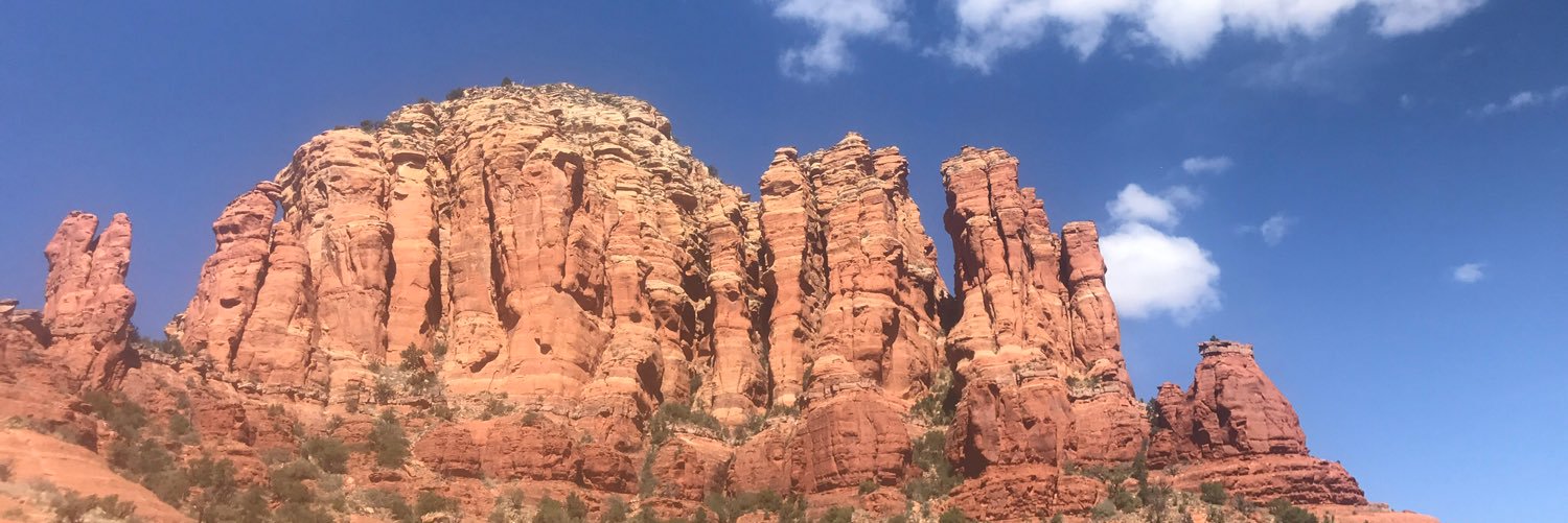 Alison L. Chetlen, D.O. FSBI banner