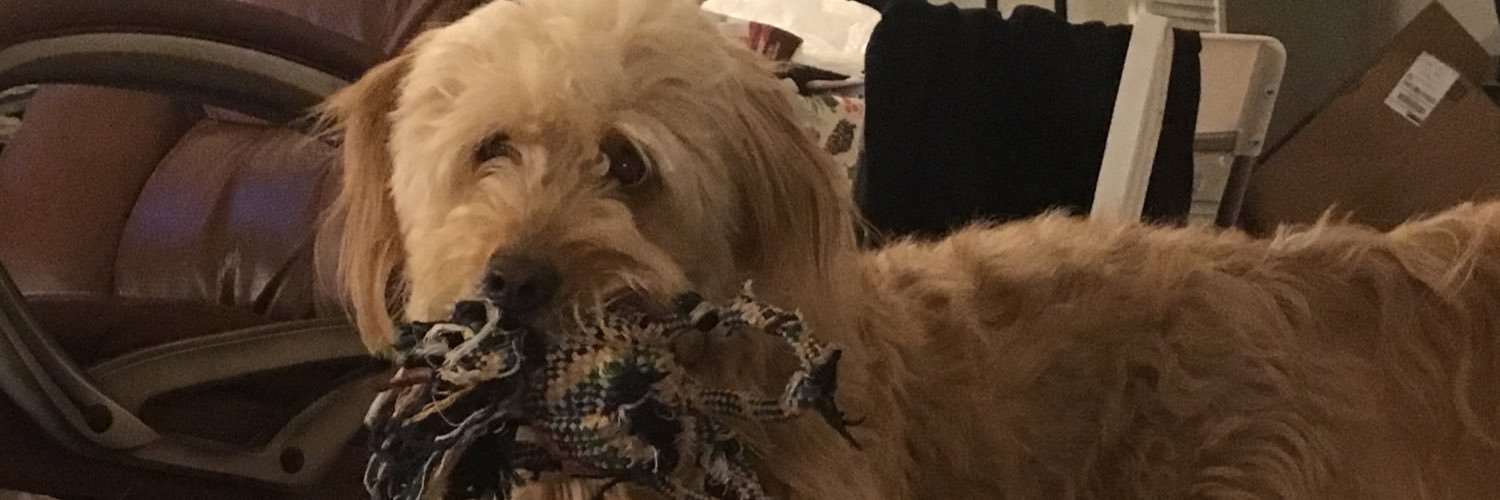 JacobWagner15's profile banner image