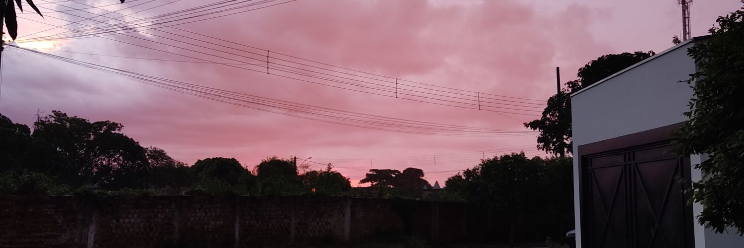 T1OGu's profile banner image