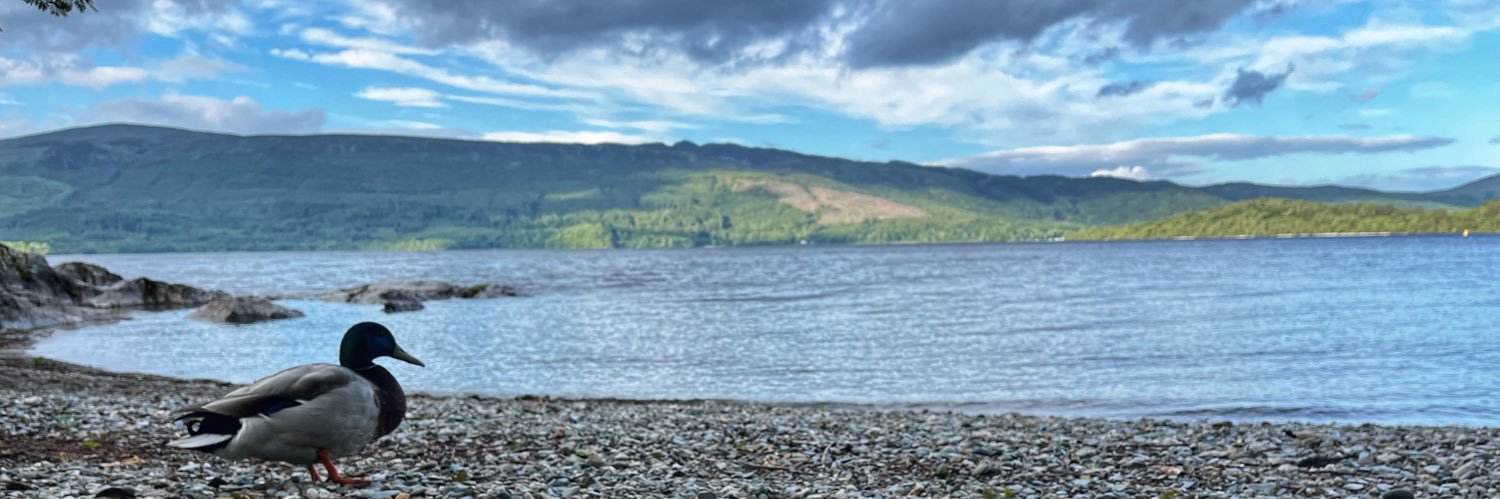 Louise McKay banner