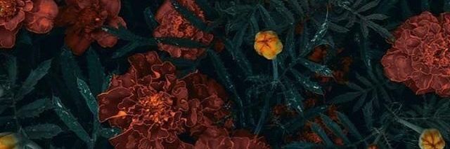 ☘️Уна🍀 banner