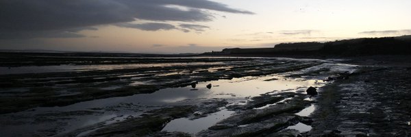 ipswichjon Profile Banner