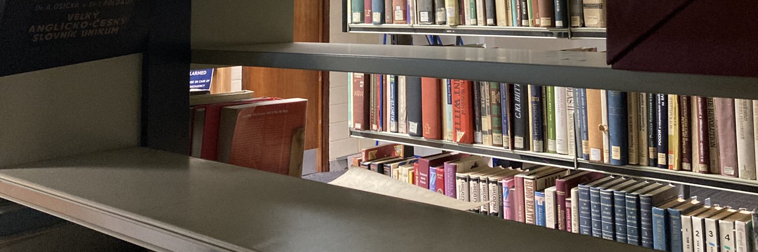 вікторка banner