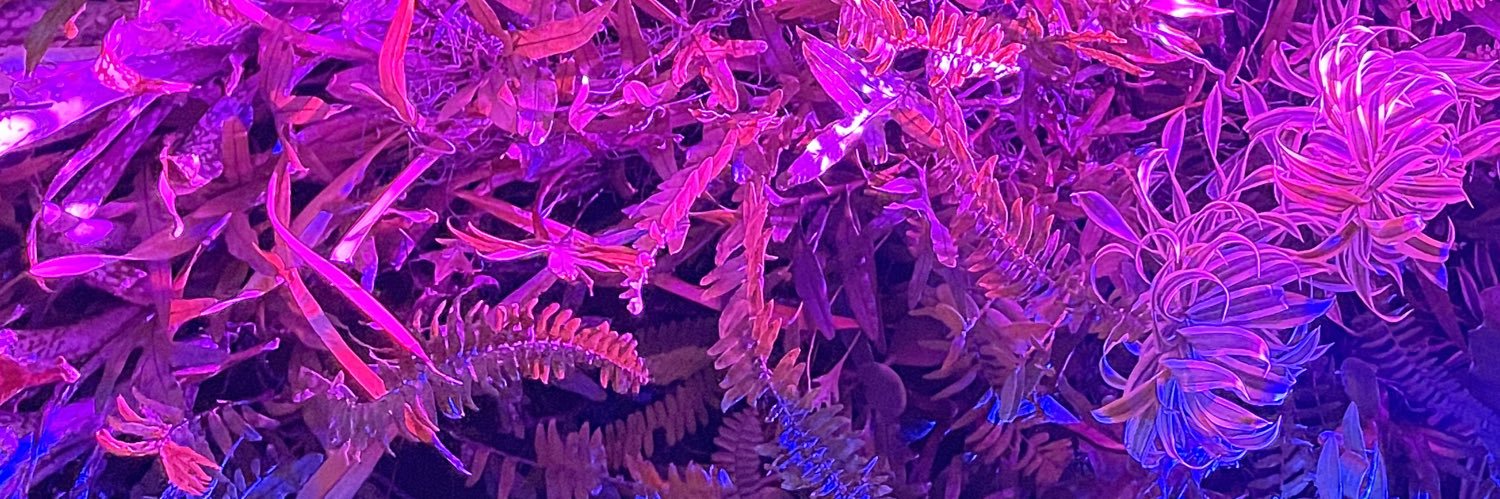 _gvmbo's profile banner image