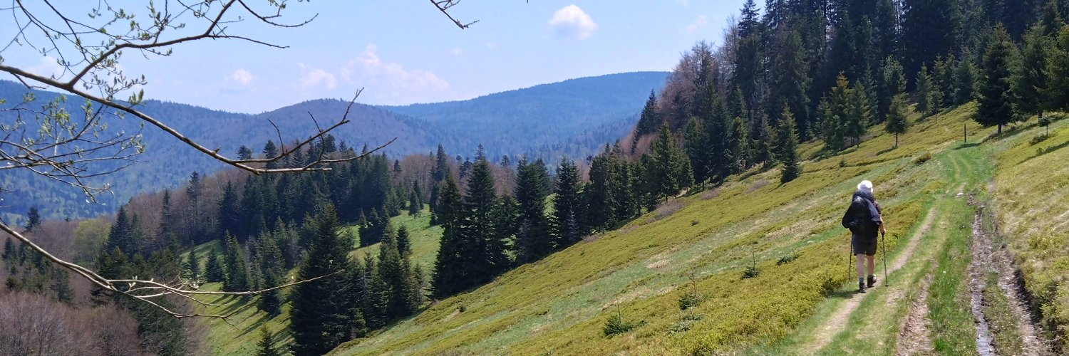 Michał Janik banner