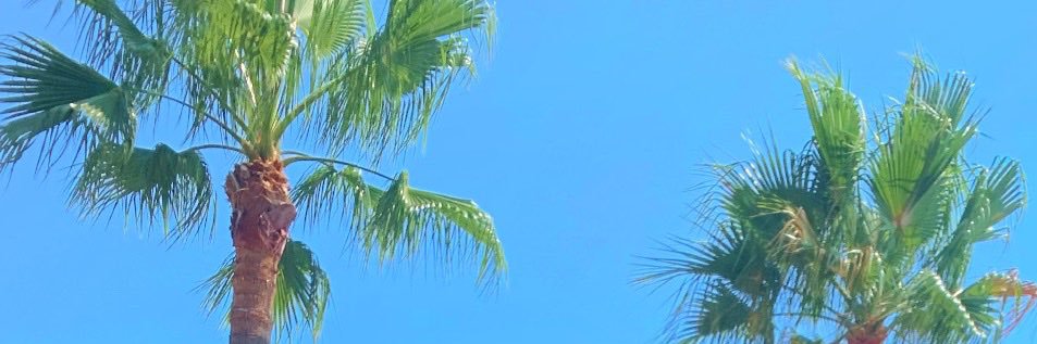 Libraenergy24's profile banner image